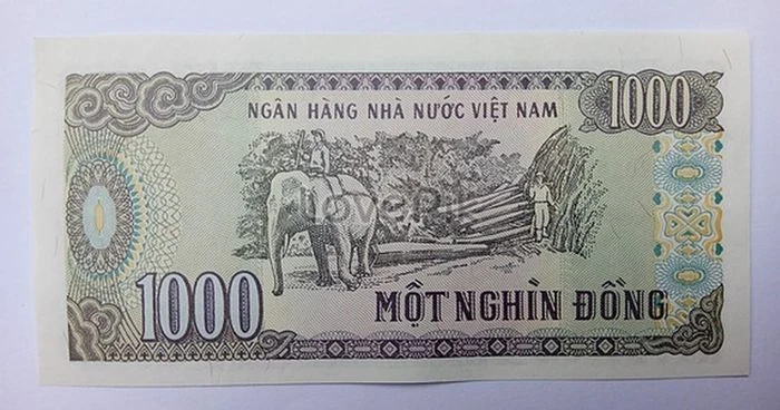 Những sự thật thú vị ít biết về đồng tiền của Việt Nam