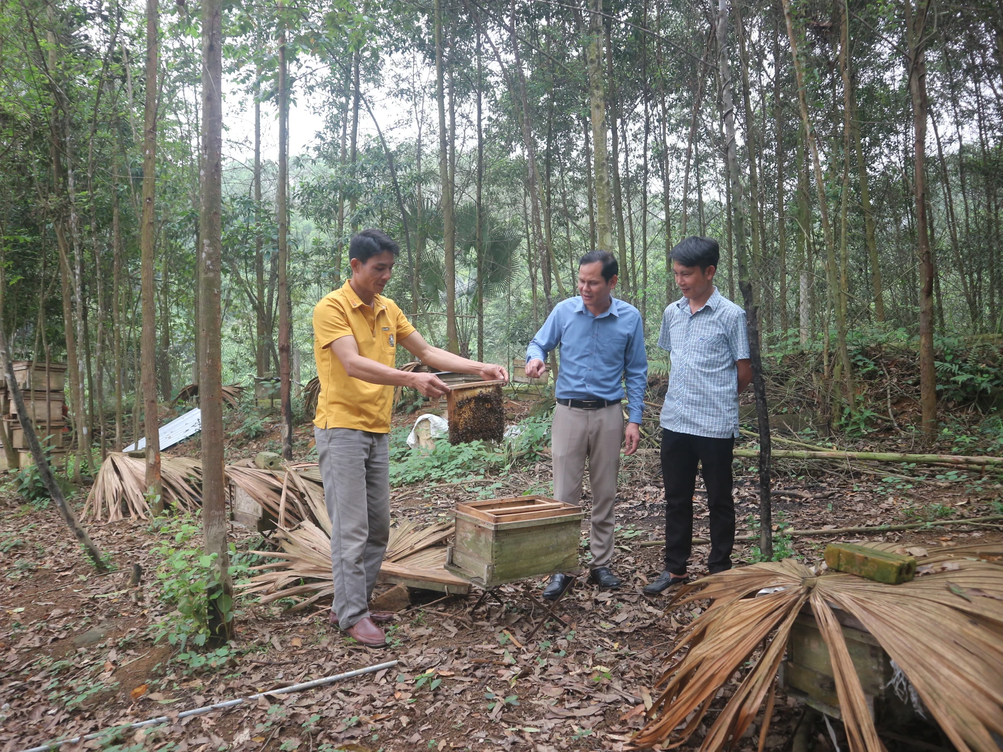 Điểm tựa giúp nông dân phát triển kinh tế