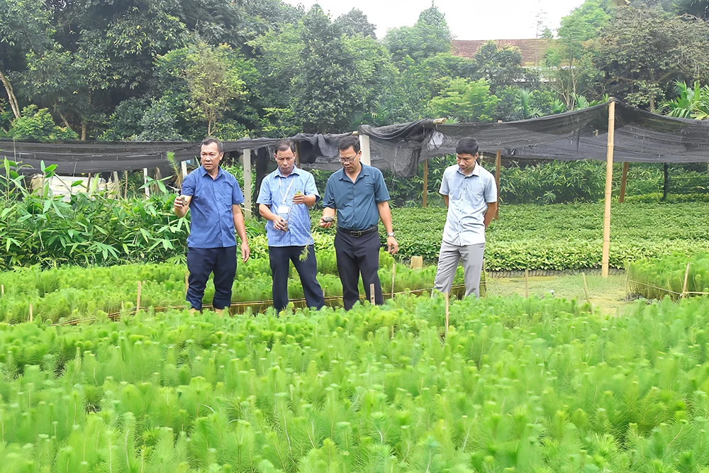 Kỳ II: Đổi mới tư duy, dám nghĩ, dám làm