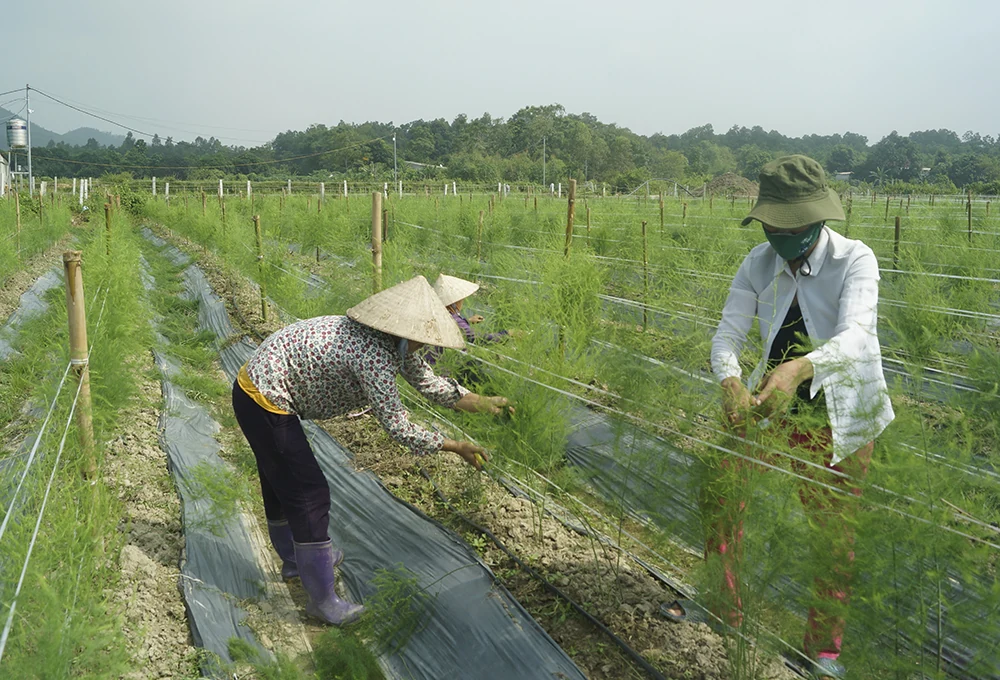 Kỳ III: Chủ động kế hoạch đội ngũ cán bộ