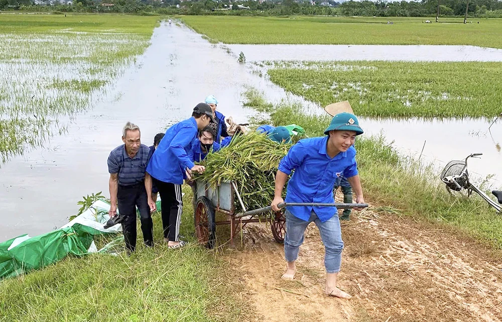 Tự hào là tuổi trẻ “Đất lúa, đất văn”
