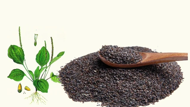 Mùa thu dùng cháo gạo lứt “phòng táo, nhuận phế”