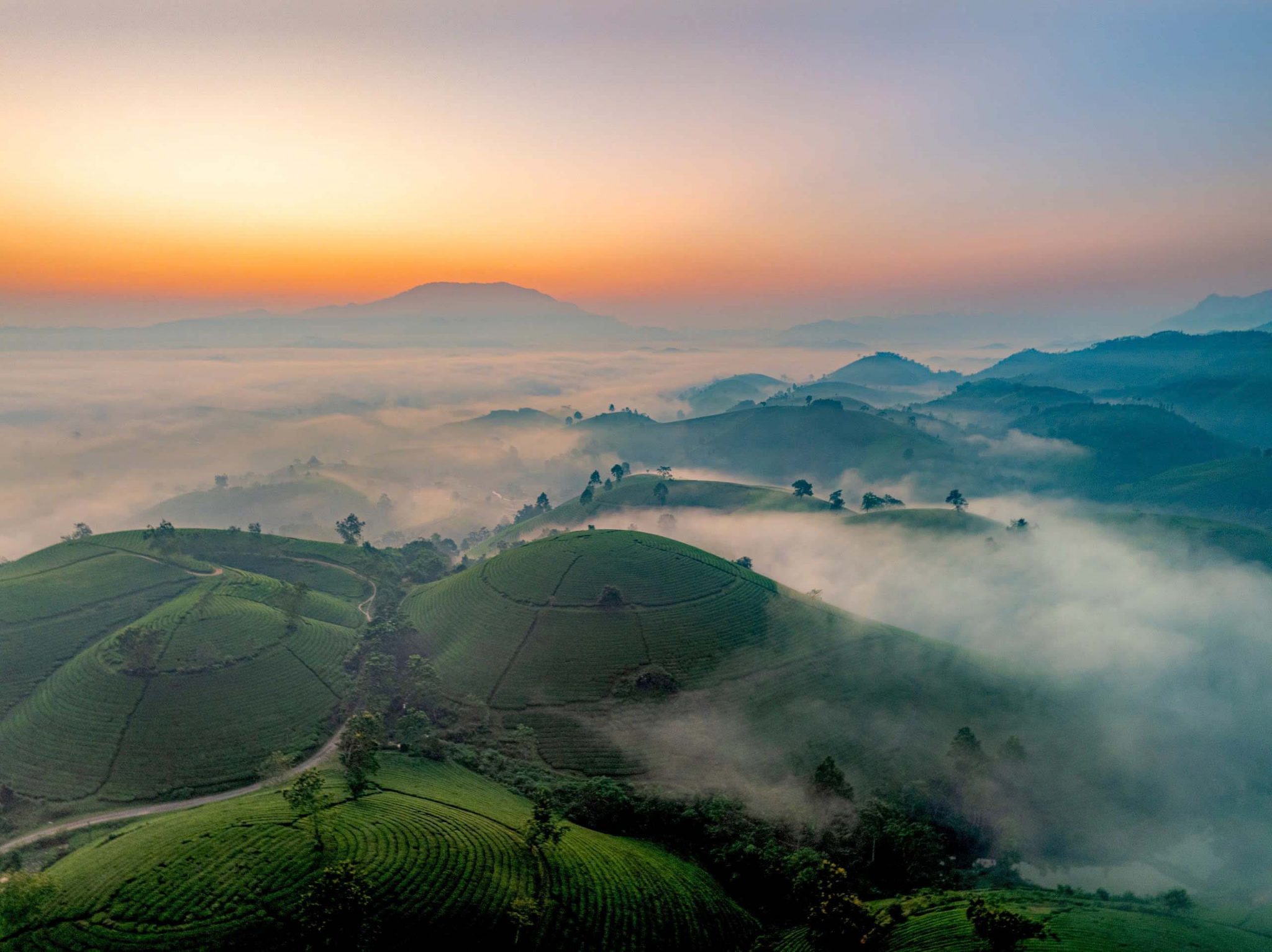 Dawn on the “bowl-shaped” tea hills in Phu Tho