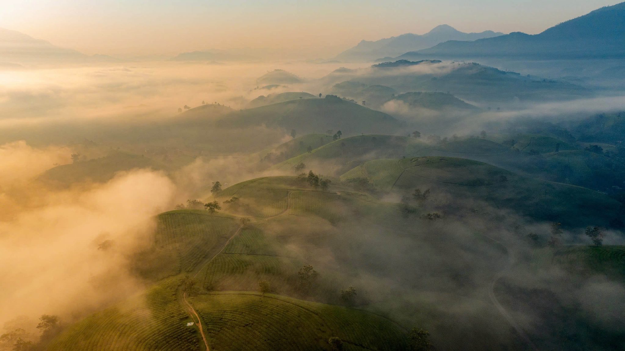 Dawn on the “bowl-shaped” tea hills in Phu Tho