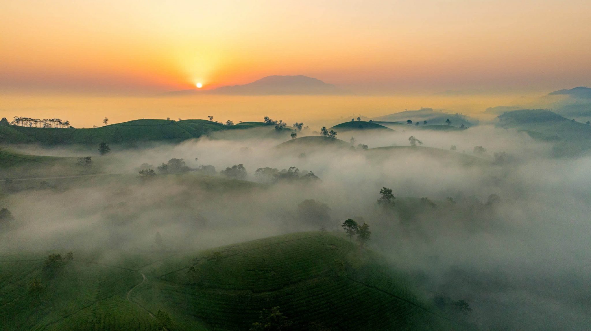 Dawn on the “bowl-shaped” tea hills in Phu Tho