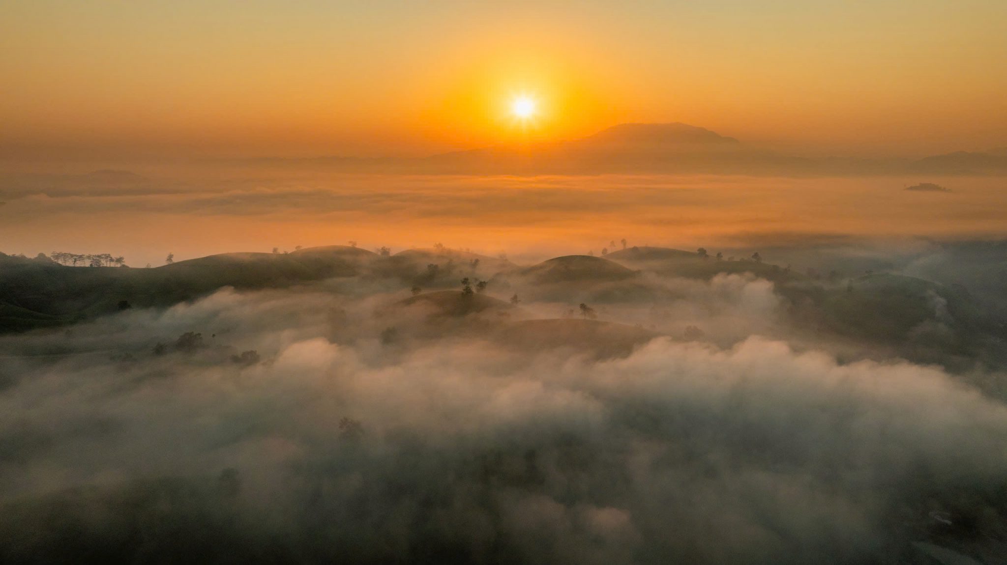 Dawn on the “bowl-shaped” tea hills in Phu Tho