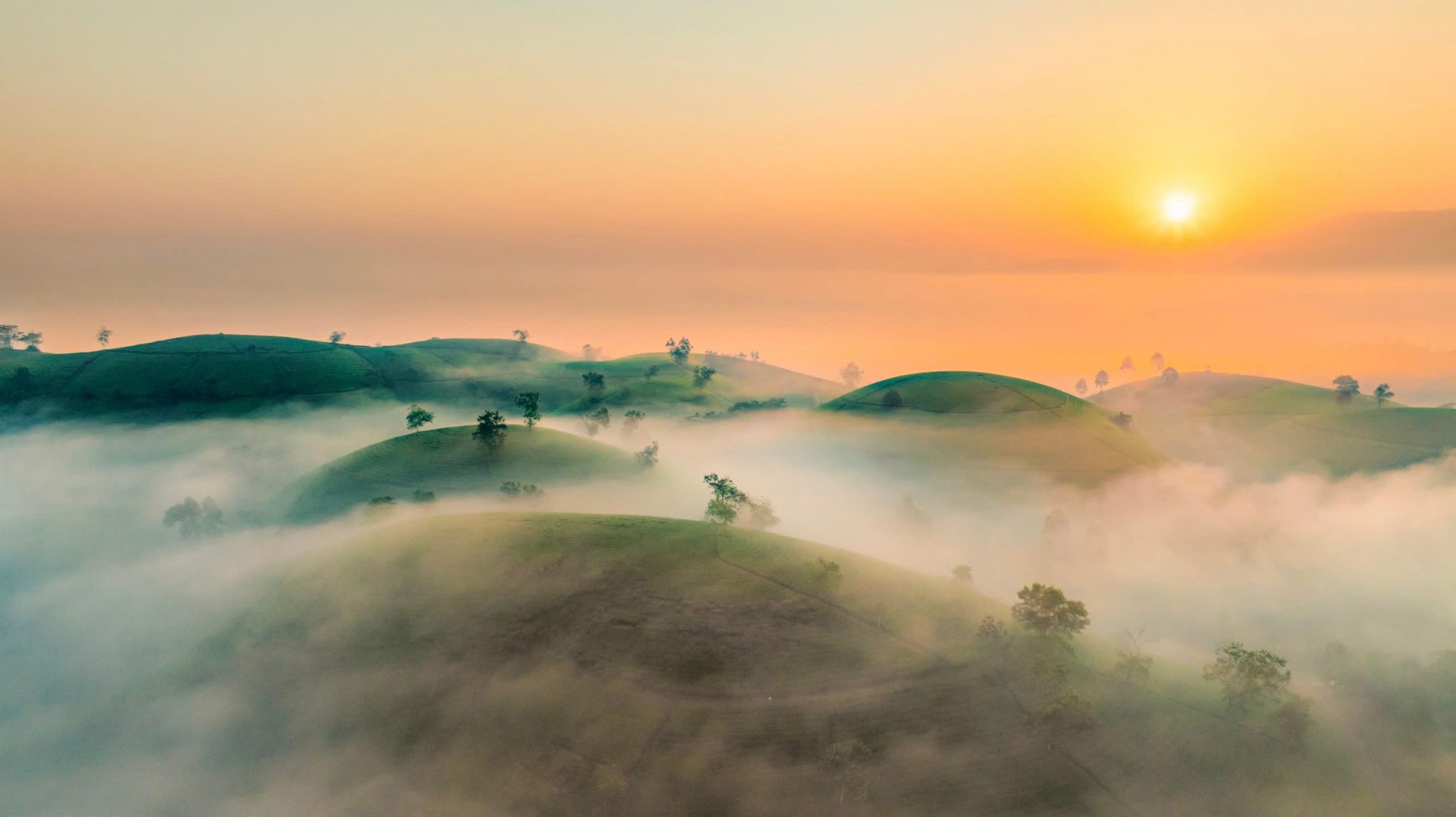 Dawn on the “bowl-shaped” tea hills in Phu Tho