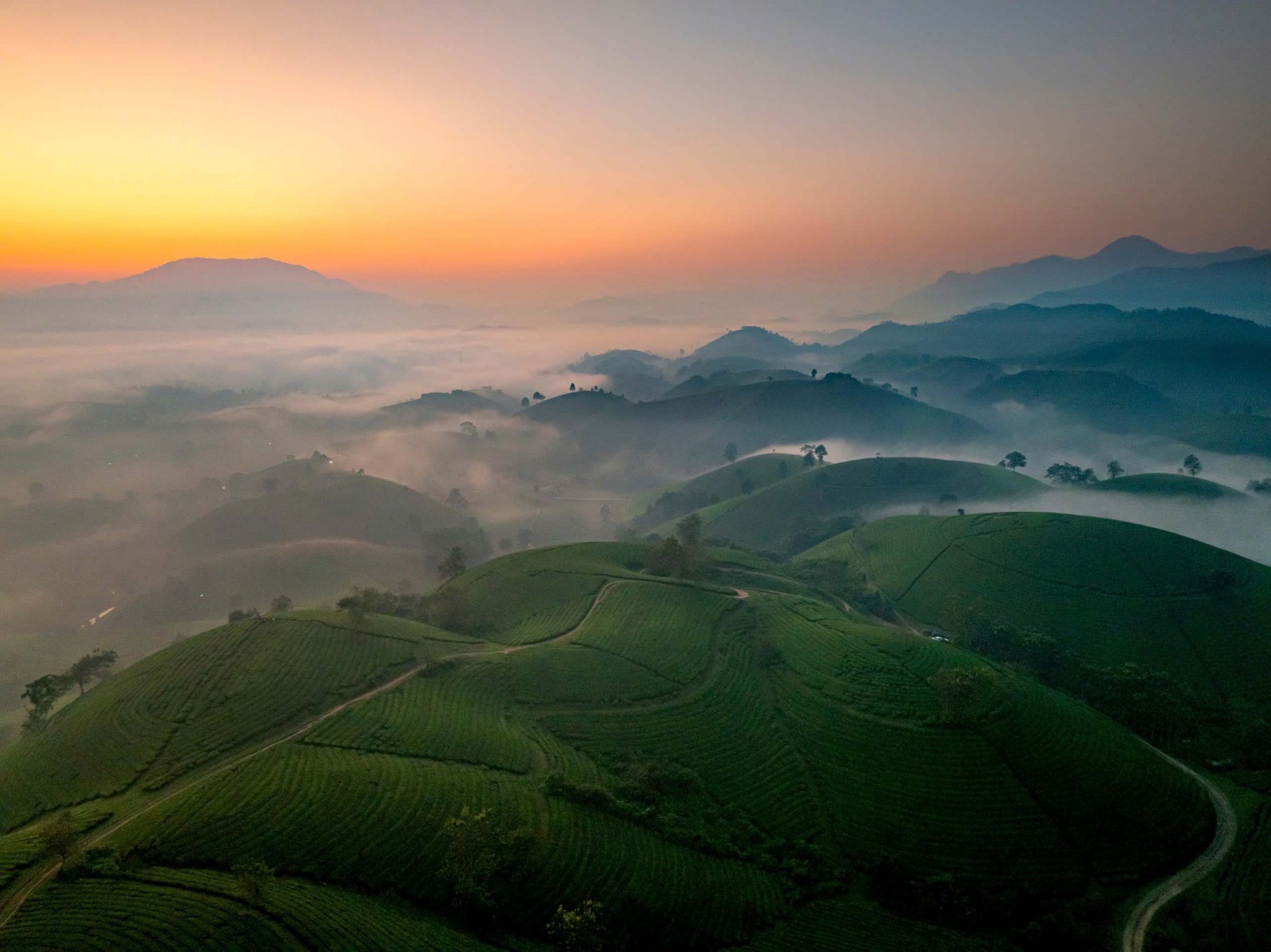 Dawn on the “bowl-shaped” tea hills in Phu Tho