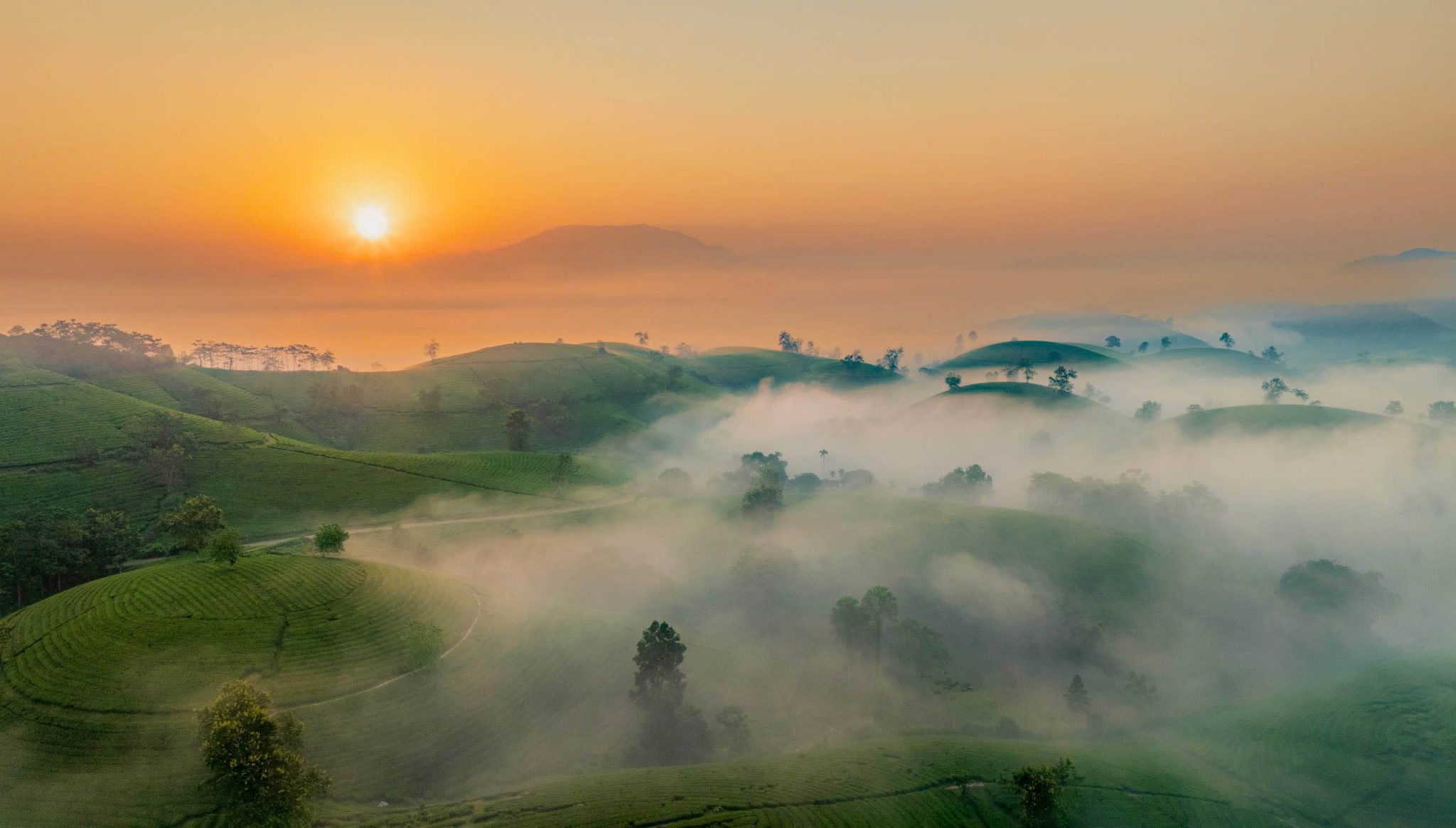 Dawn on the “bowl-shaped” tea hills in Phu Tho