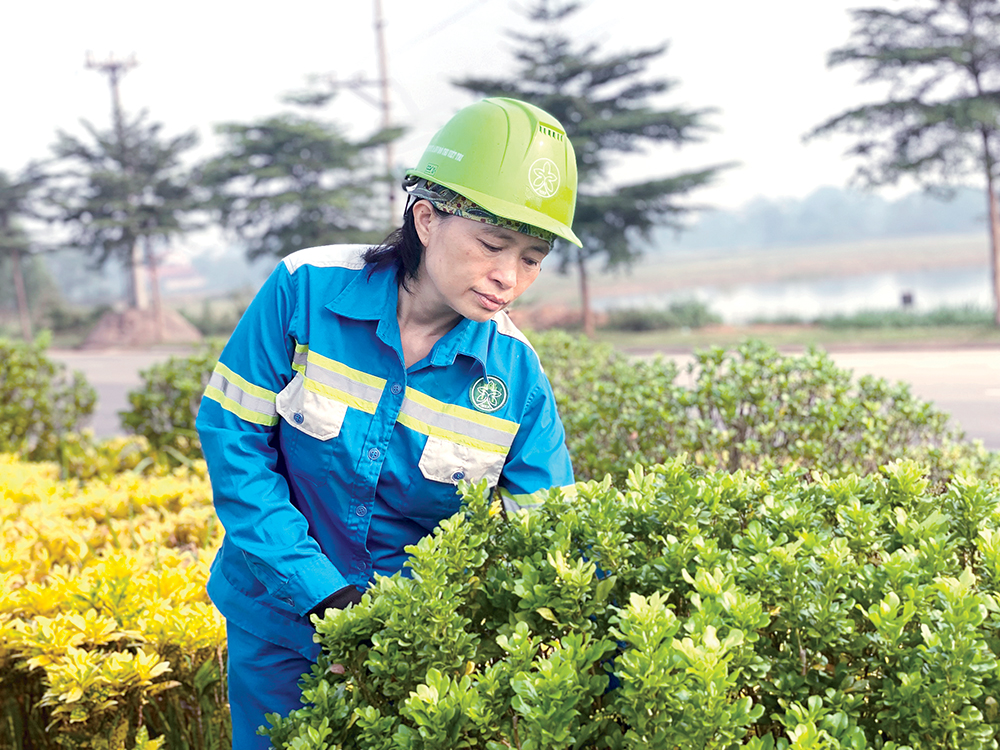 Những “bông hoa” làm đẹp phố phường