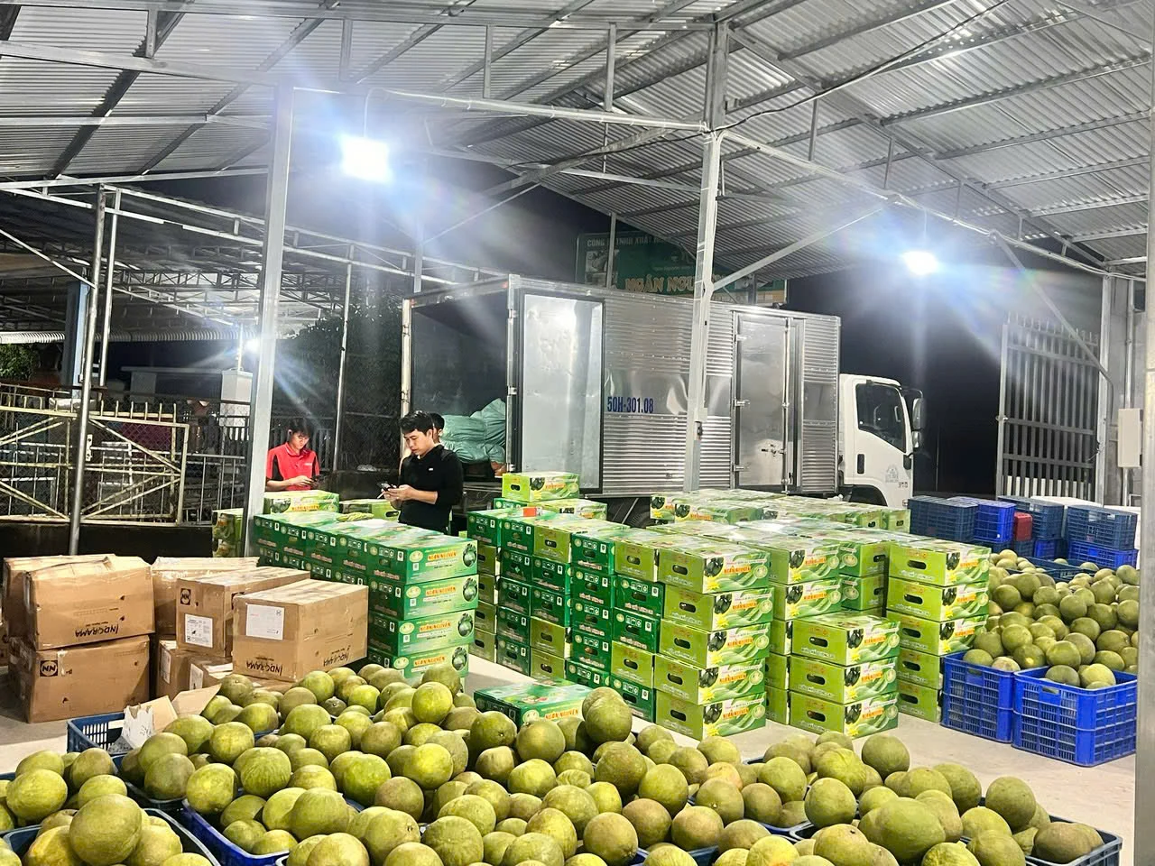 Khánh Vĩnh: Khai mở tiềm năng phát triển kinh tế nông nghiệp