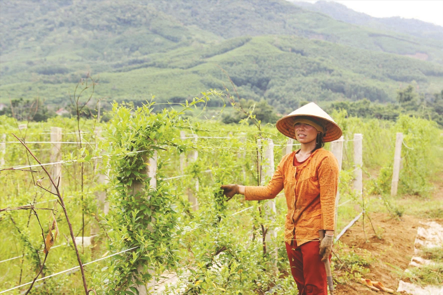 Về thăm ngôi làng đồng bào dân tộc thiểu số kiểu mẫu