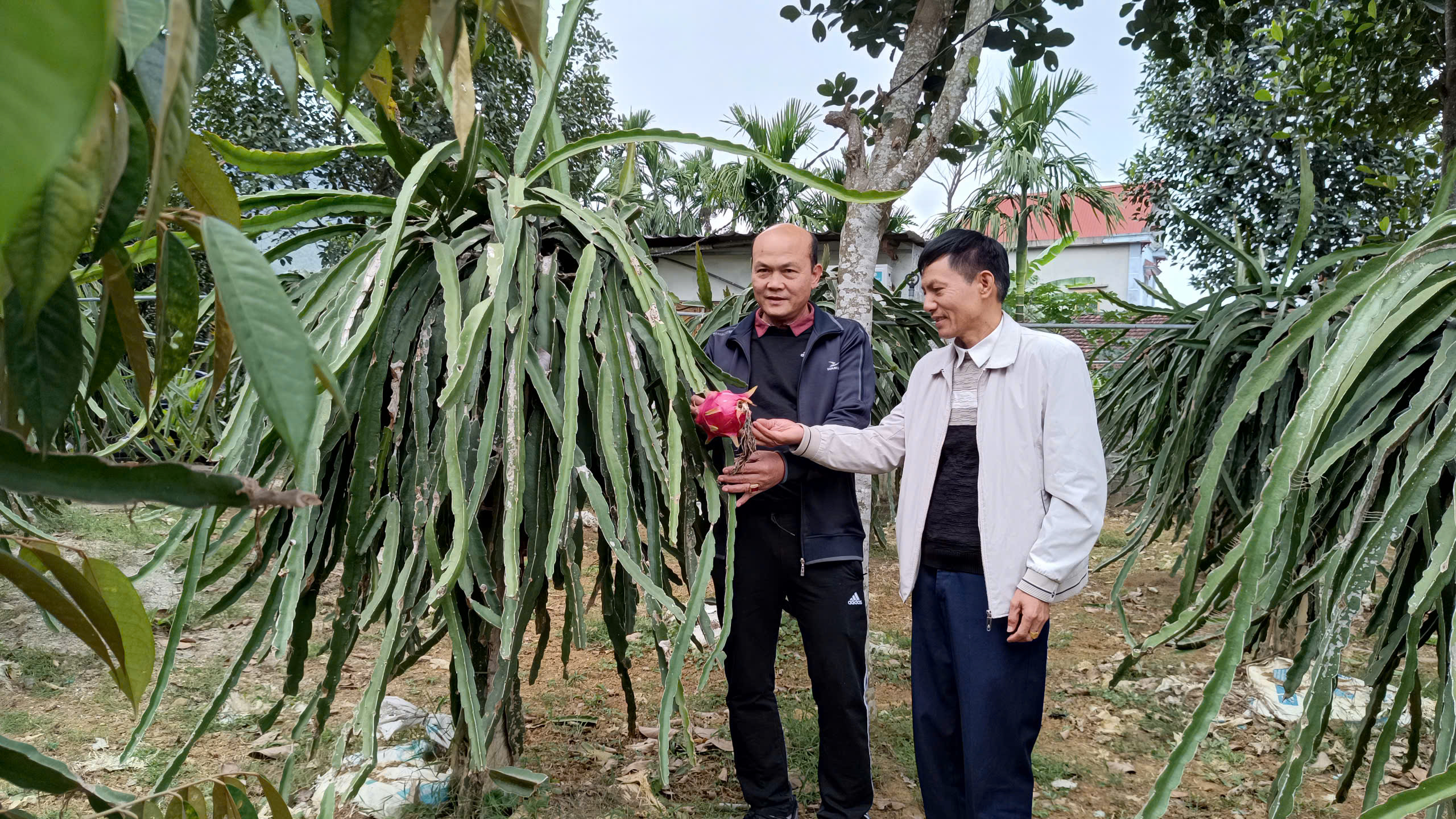 Lão nông giỏi làm ăn, khéo vận động