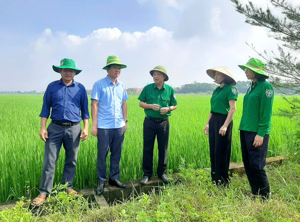 Canh tác nông nghiệp bền vững, thân thiện với môi trường