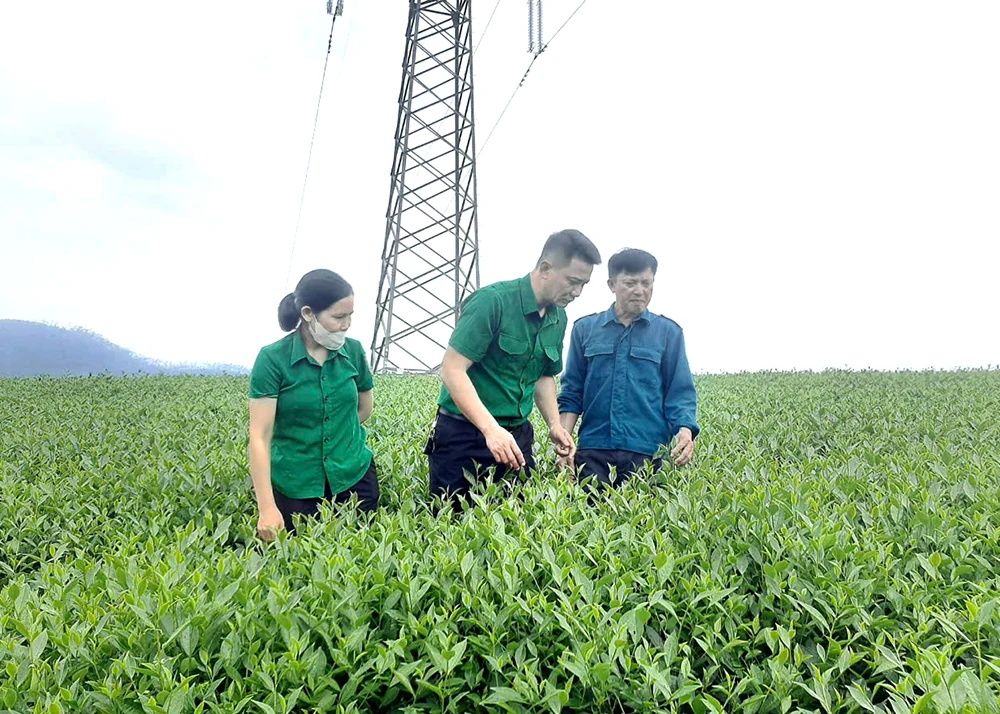 Canh tác nông nghiệp bền vững, thân thiện với môi trường