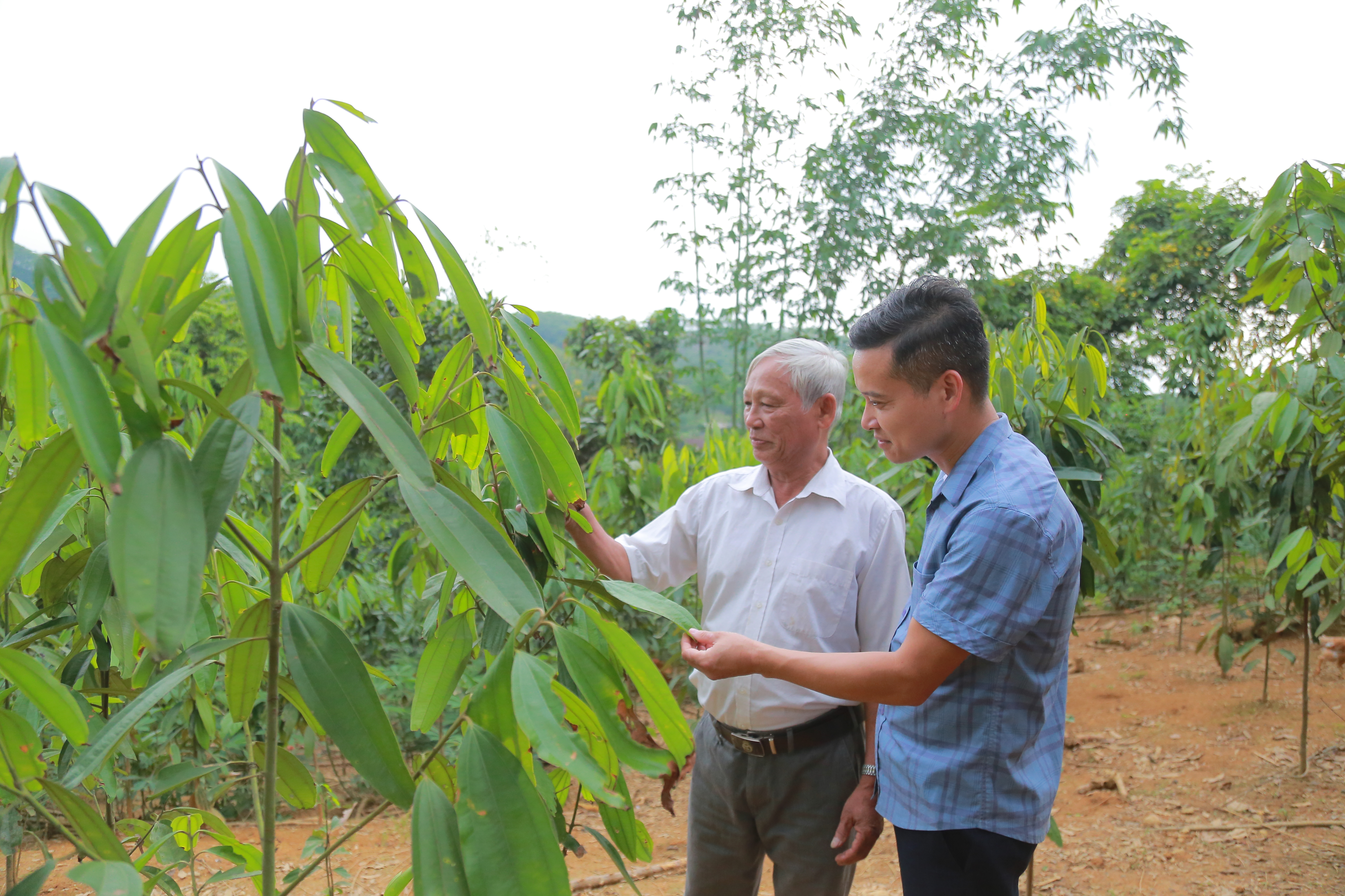 Phát huy vai trò người có uy tín trong đồng bào dân tộc thiểu số