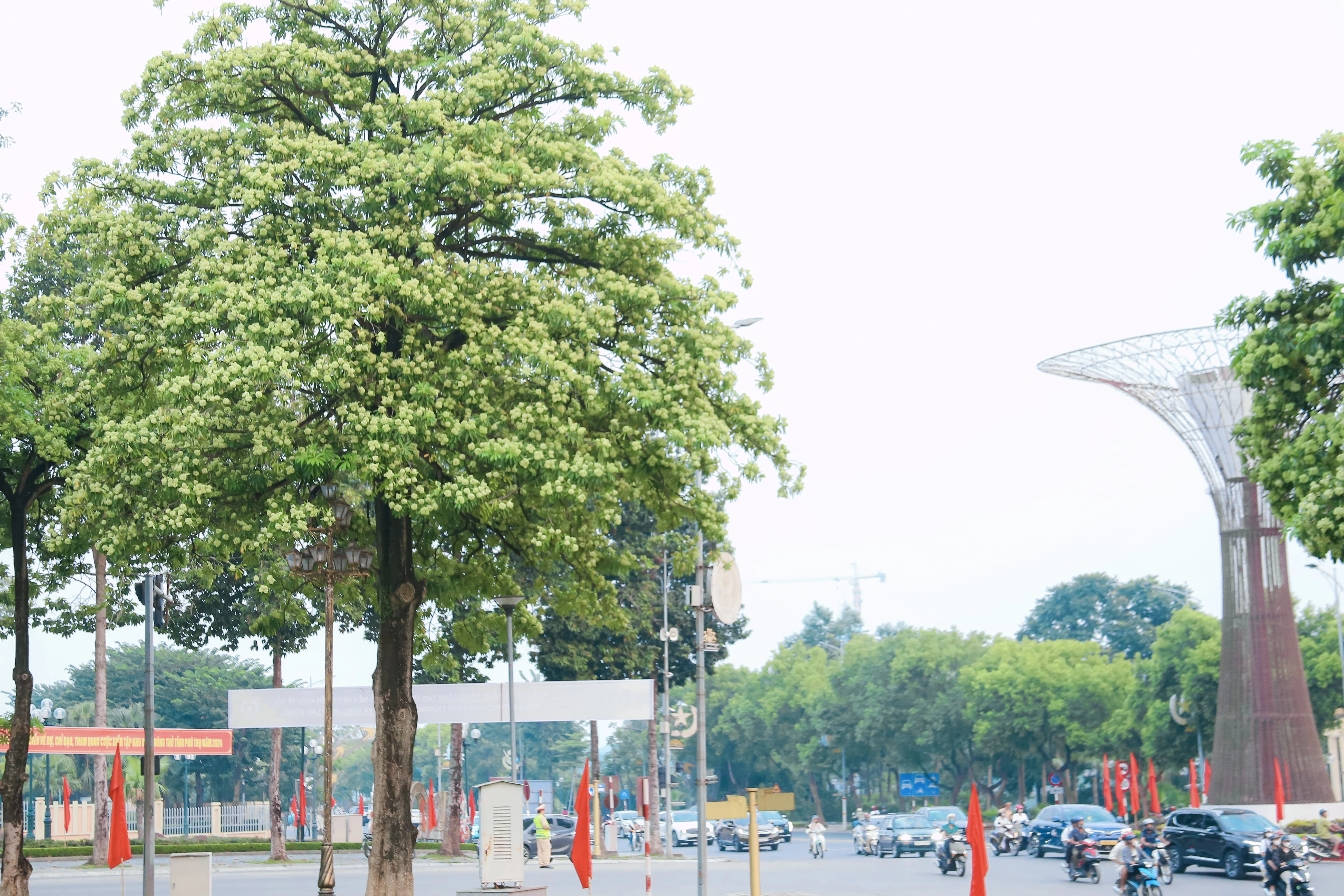 Return of Sweet-Smelling Flowers on Streets