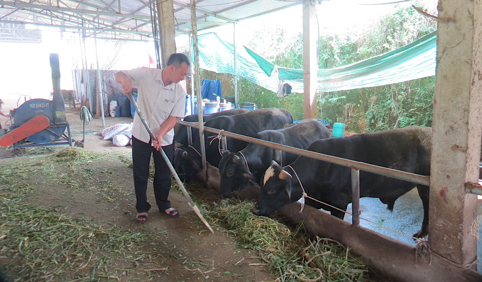 Hỗ trợ nông dân thoát nghèo