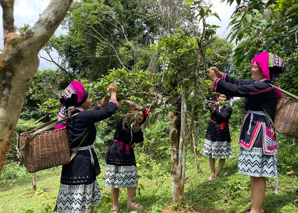 Enhancing community tourism