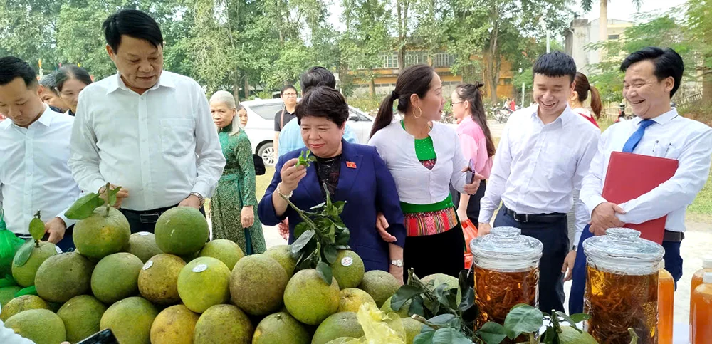 Chủ nhiệm Ủy ban Xã hội của Quốc hội Nguyễn Thúy Anh dự Ngày hội Đại đoàn kết toàn dân tộc tại huyện Tân Sơn