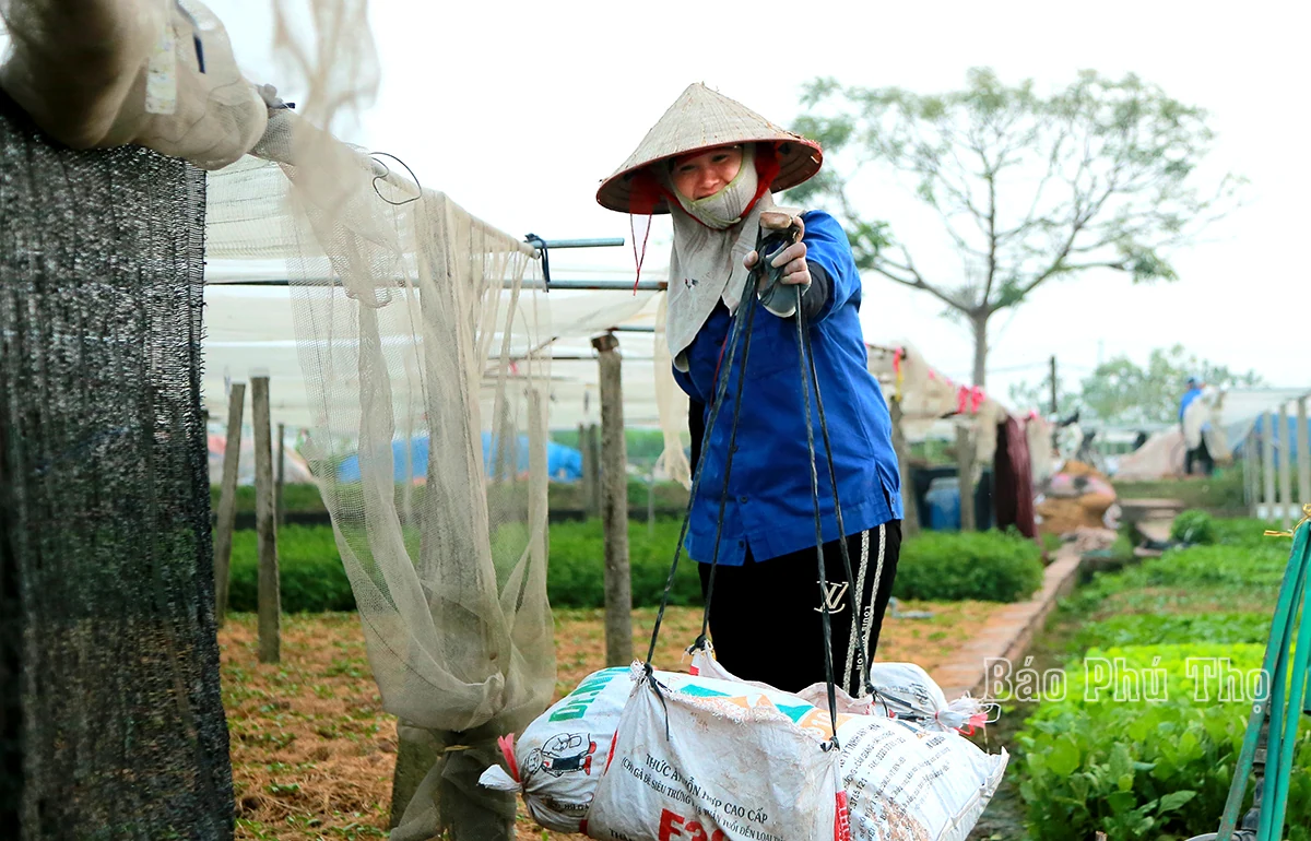 Colorful picture on Tu Xa field