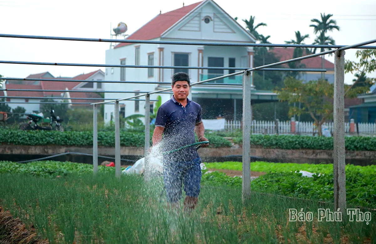 Colorful picture on Tu Xa field