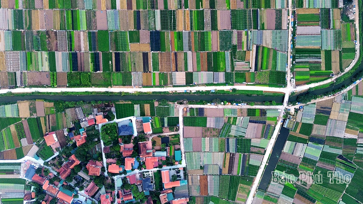 Colorful picture on Tu Xa field