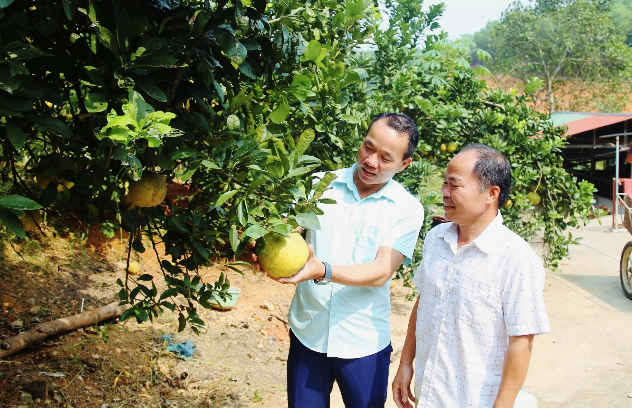 Trưởng khu nói dân tin, làm dân theo