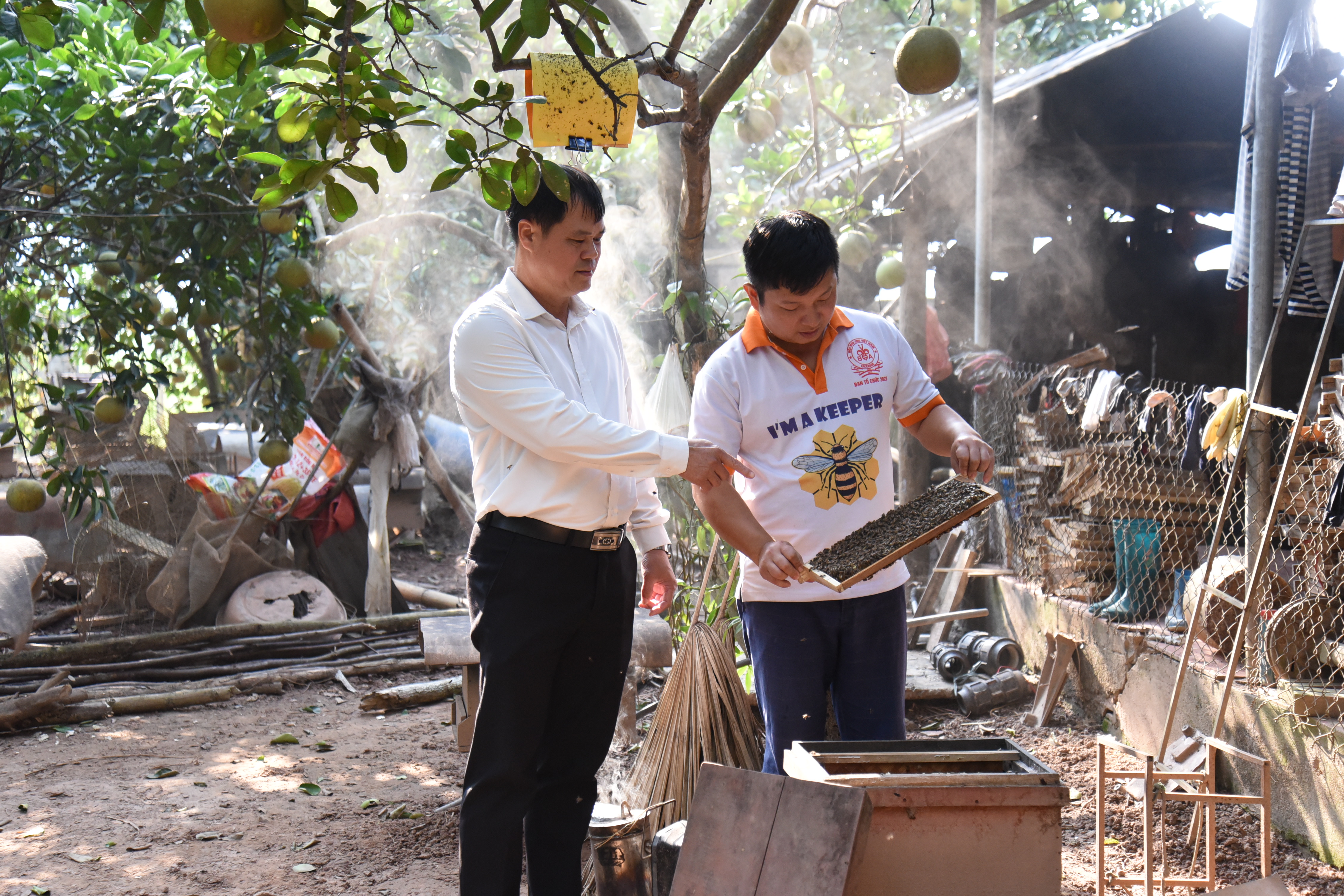 Thành công từ nuôi ong lấy mật