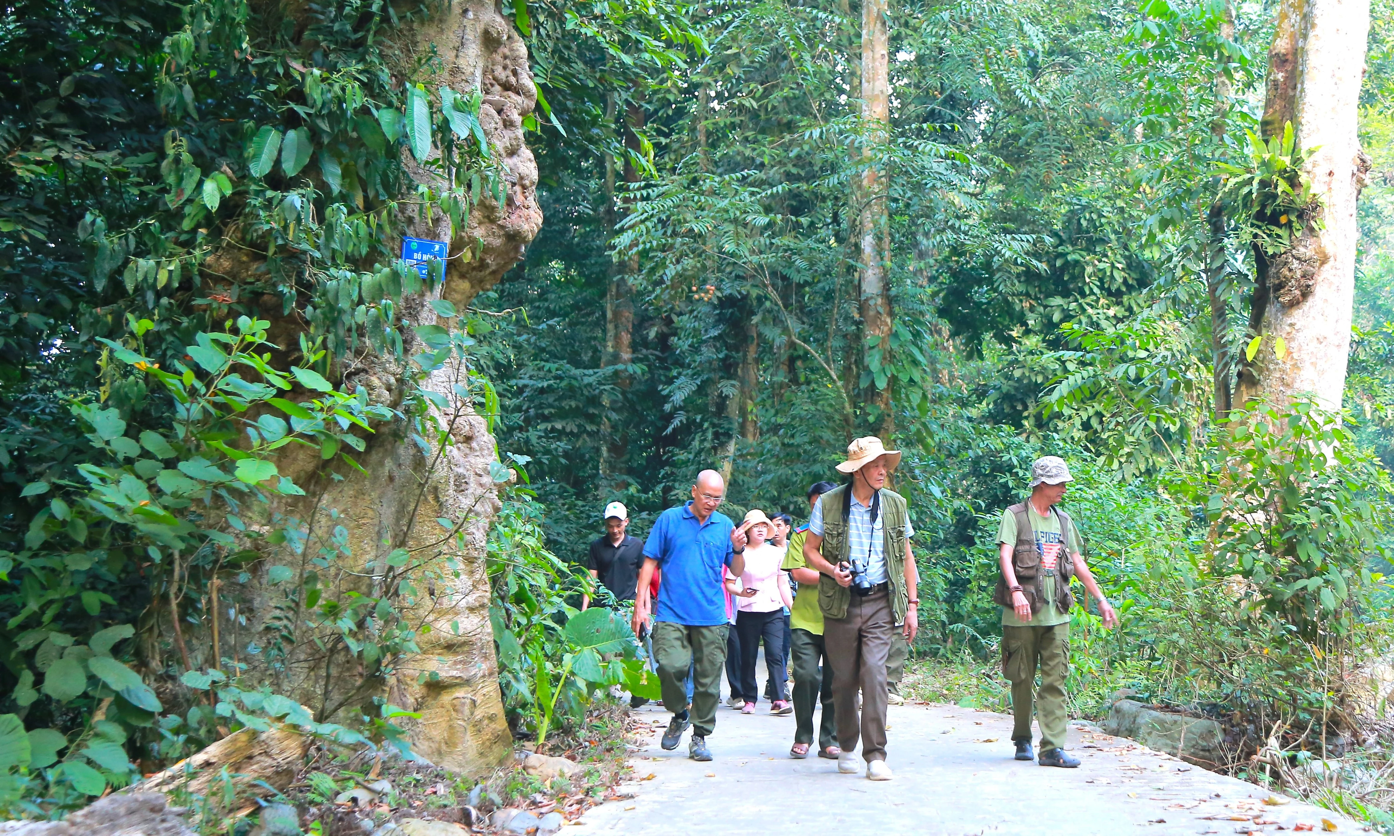 Survey and promote Xuan Son - Long Coc tourist destination