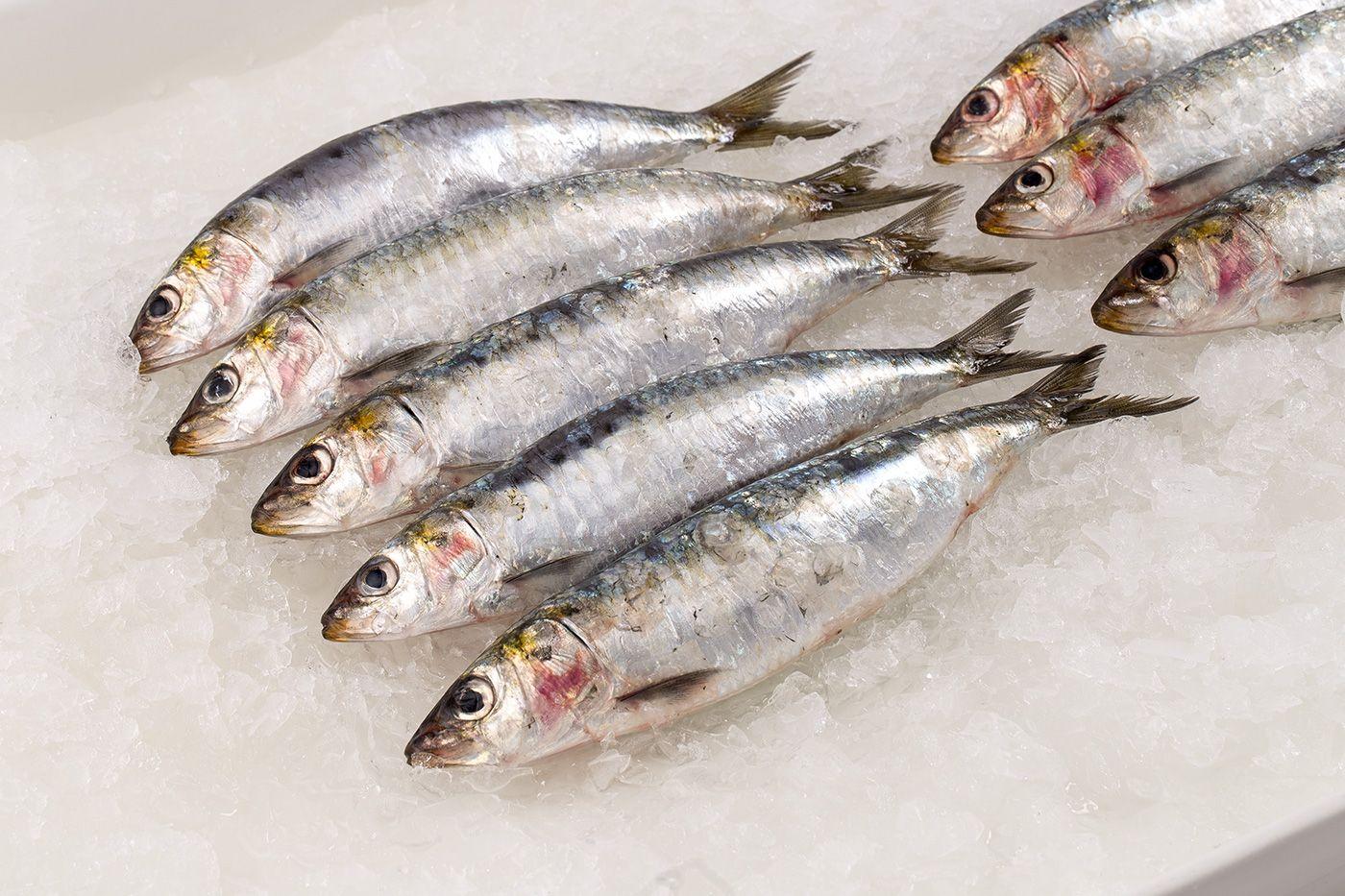 Cá mòi giàu omega-3 nhưng ai không nên ăn?