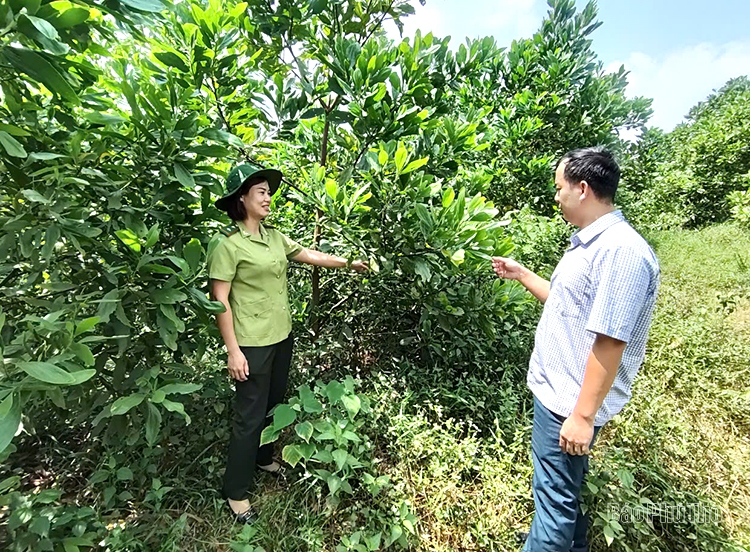 Bảo vệ rừng ở Phù Ninh