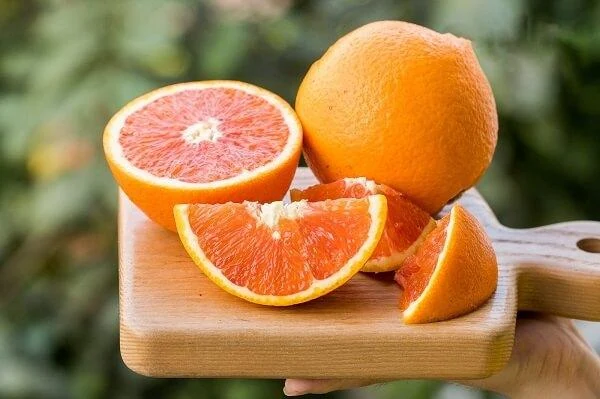 8 loại thực phẩm hàng đầu giúp tăng khả năng miễn dịch
