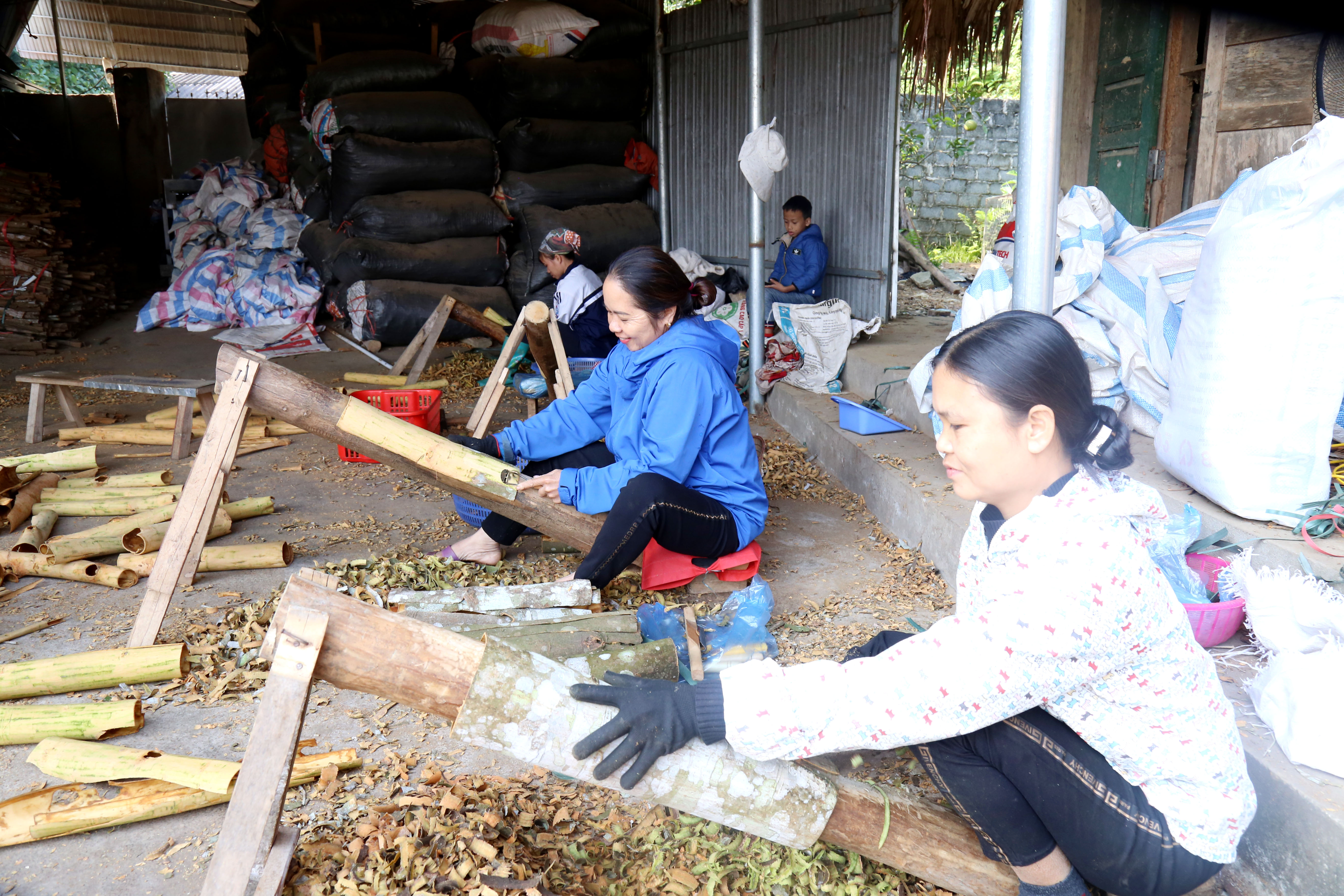 Trên 10 tỷ đồng đầu tư cho nhiệm vụ khoa học - công nghệ