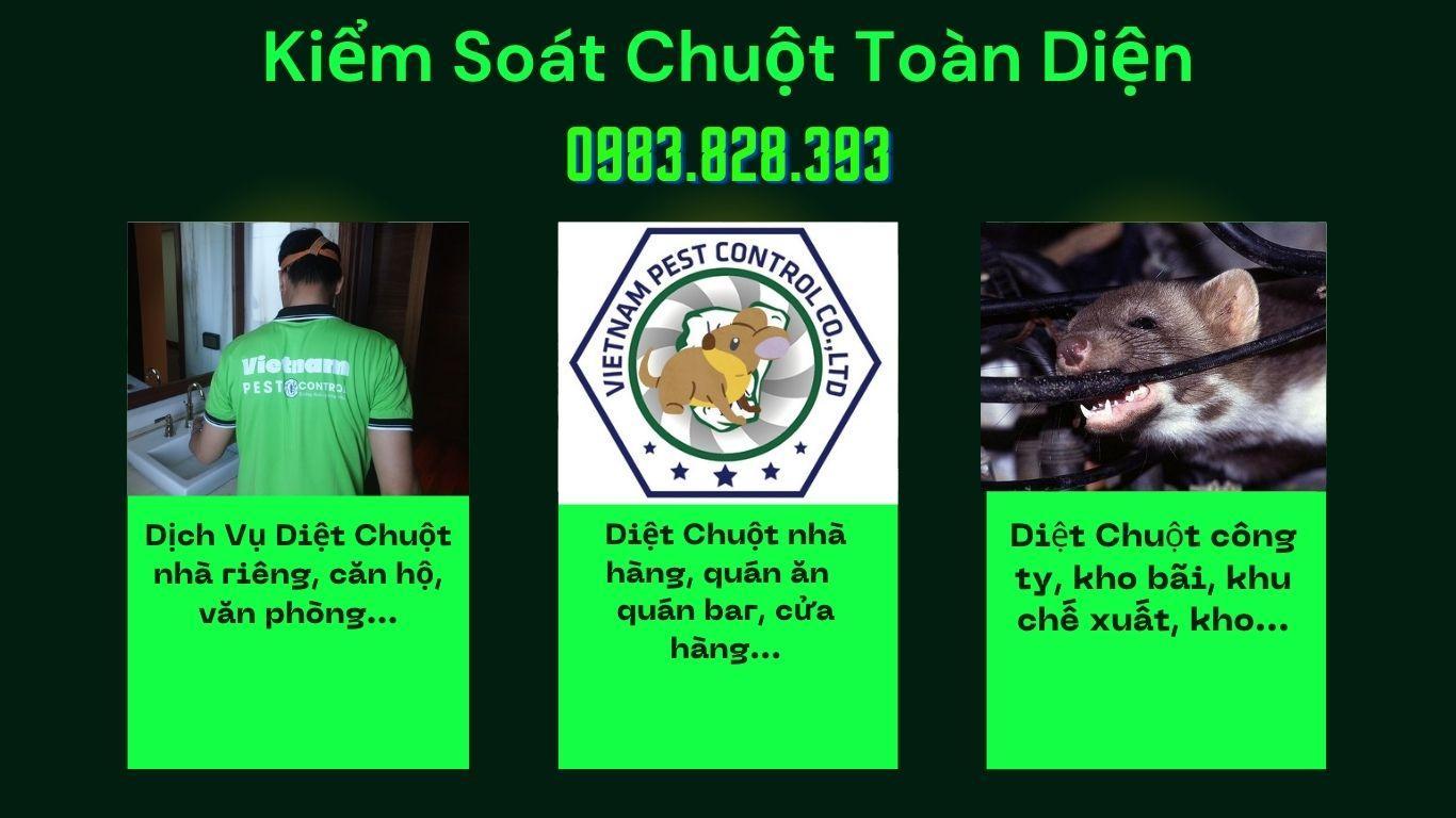 Công Ty Kiểm Soát Côn Trùng Việt Nam: Giải Pháp Kiểm Soát Chuột Toàn Diện