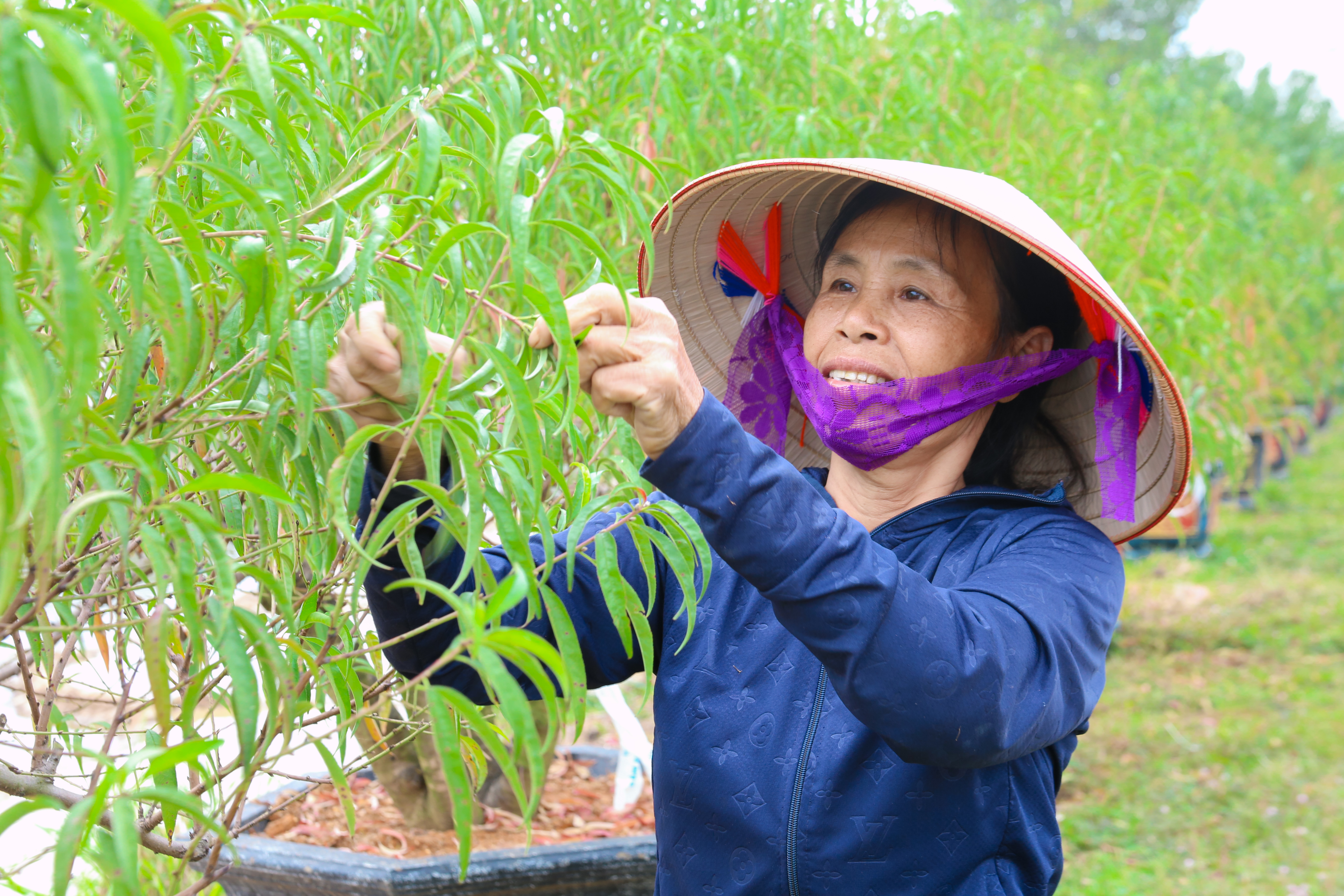 Sắc Xuân nông thôn mới