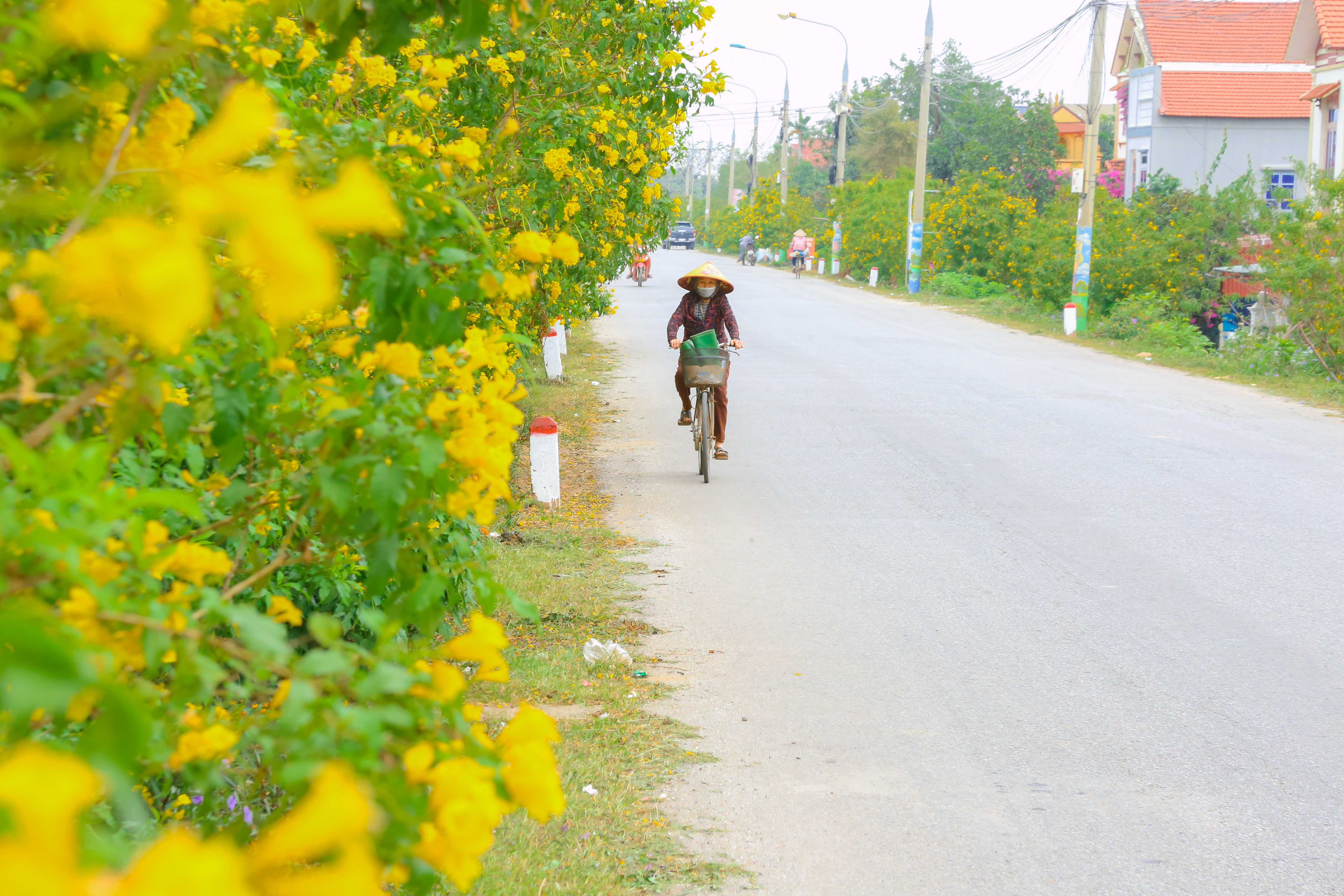 Sắc Xuân nông thôn mới