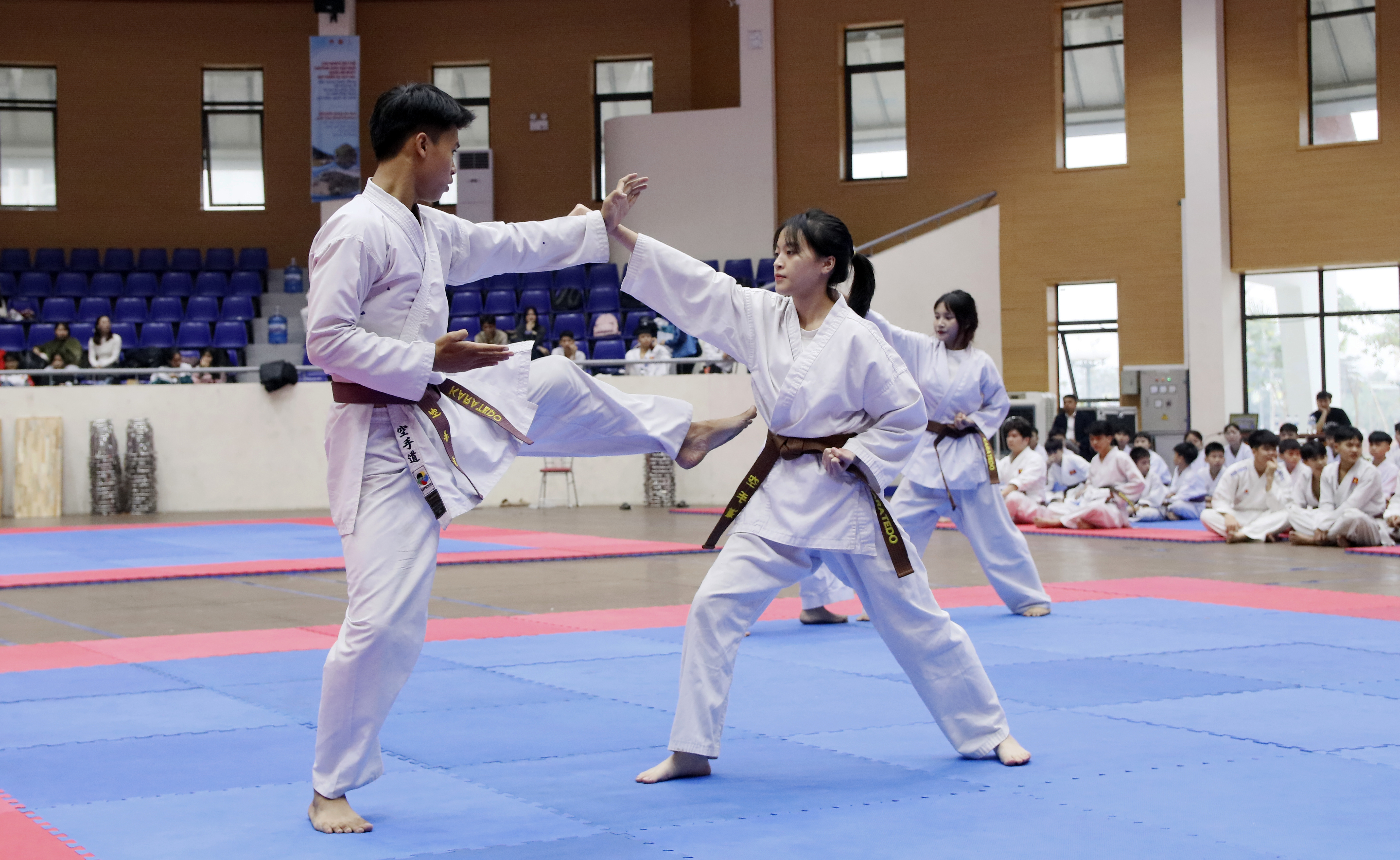 144 VĐV, HLV, võ sư vượt qua Kỳ thi thăng đẳng cấp Quốc gia môn Karate năm 2024