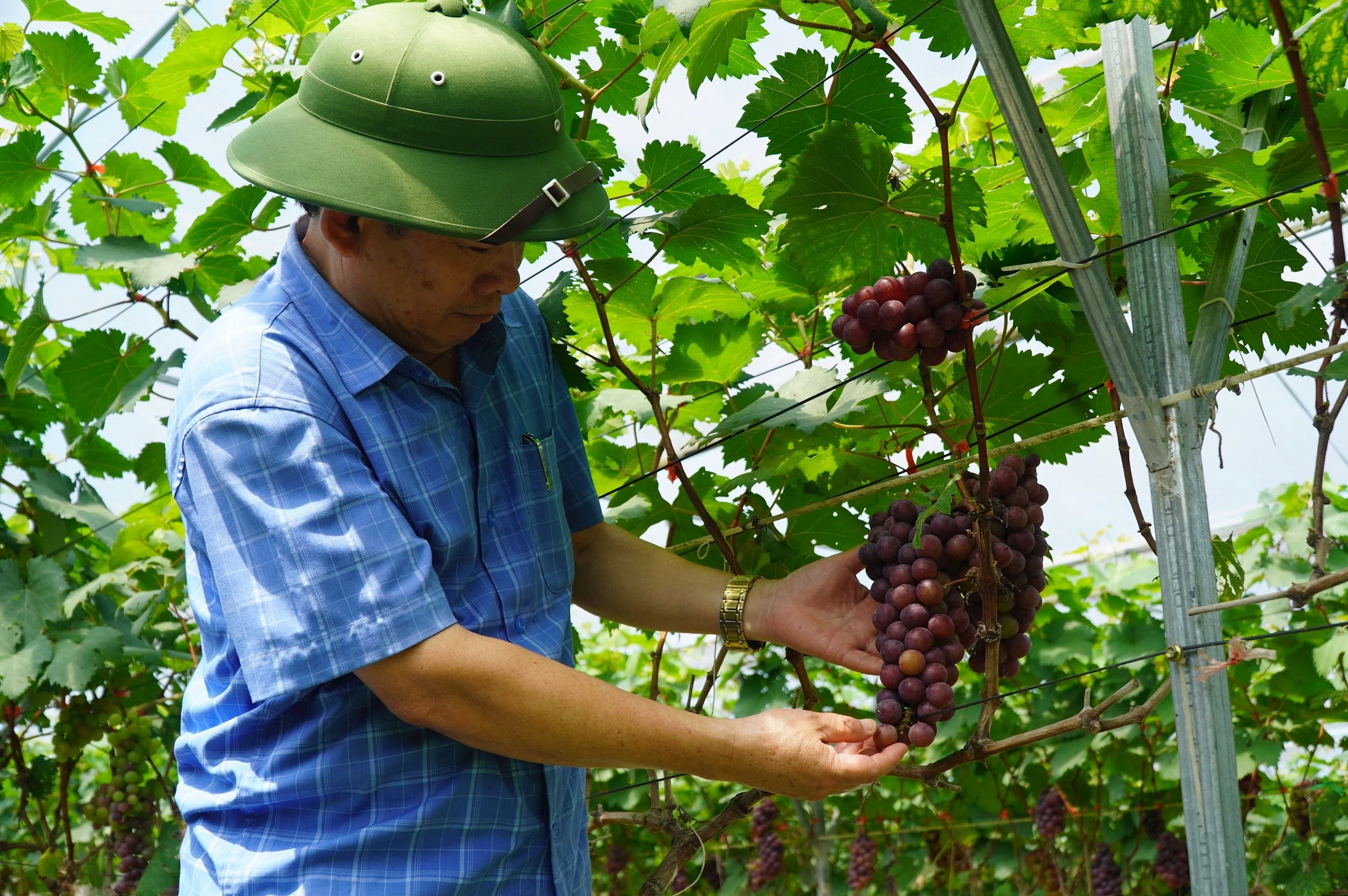 Quyến rũ hồ Xuân Dương - điểm hẹn sinh thái ngày Đông