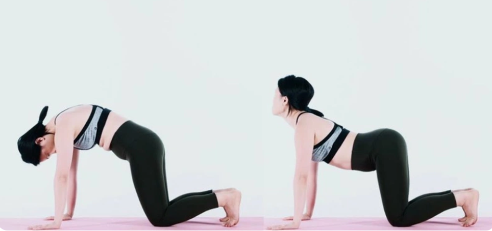 Một số tư thế yoga giúp giảm cơn đau lưng dưới