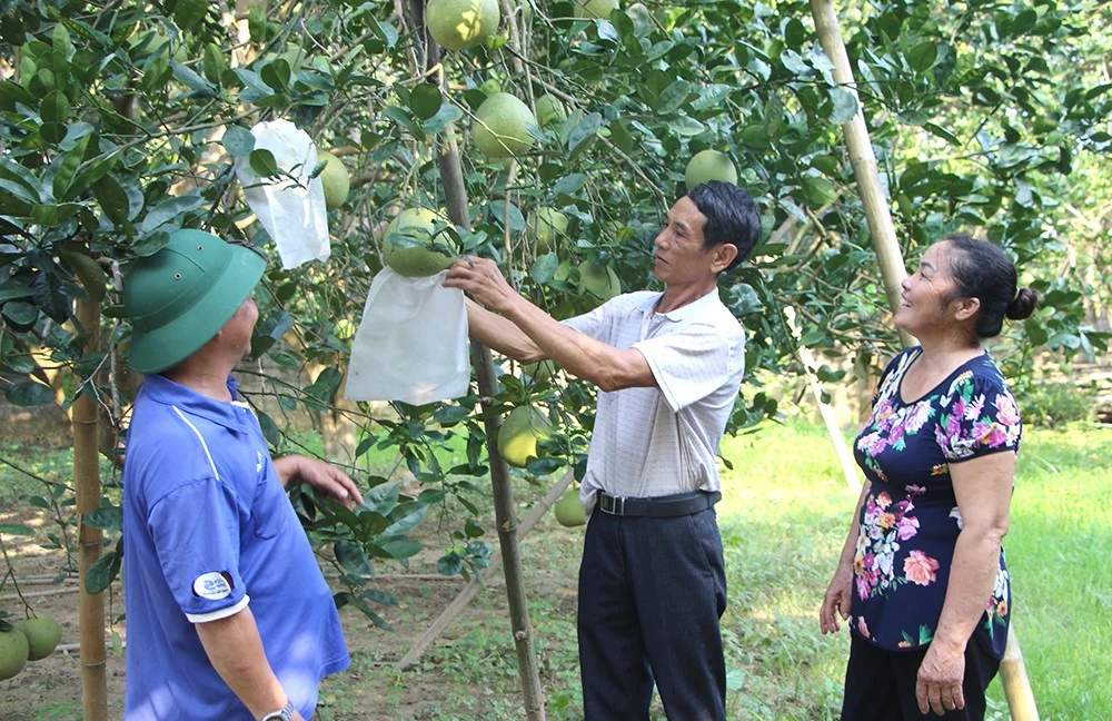 Quyết liệt chỉ đạo, điều hành, nỗ lực phấn đấu hoàn thành và hoàn thành vượt mức các mục tiêu, nhiệm vụ phát triển kinh tế - xã hội