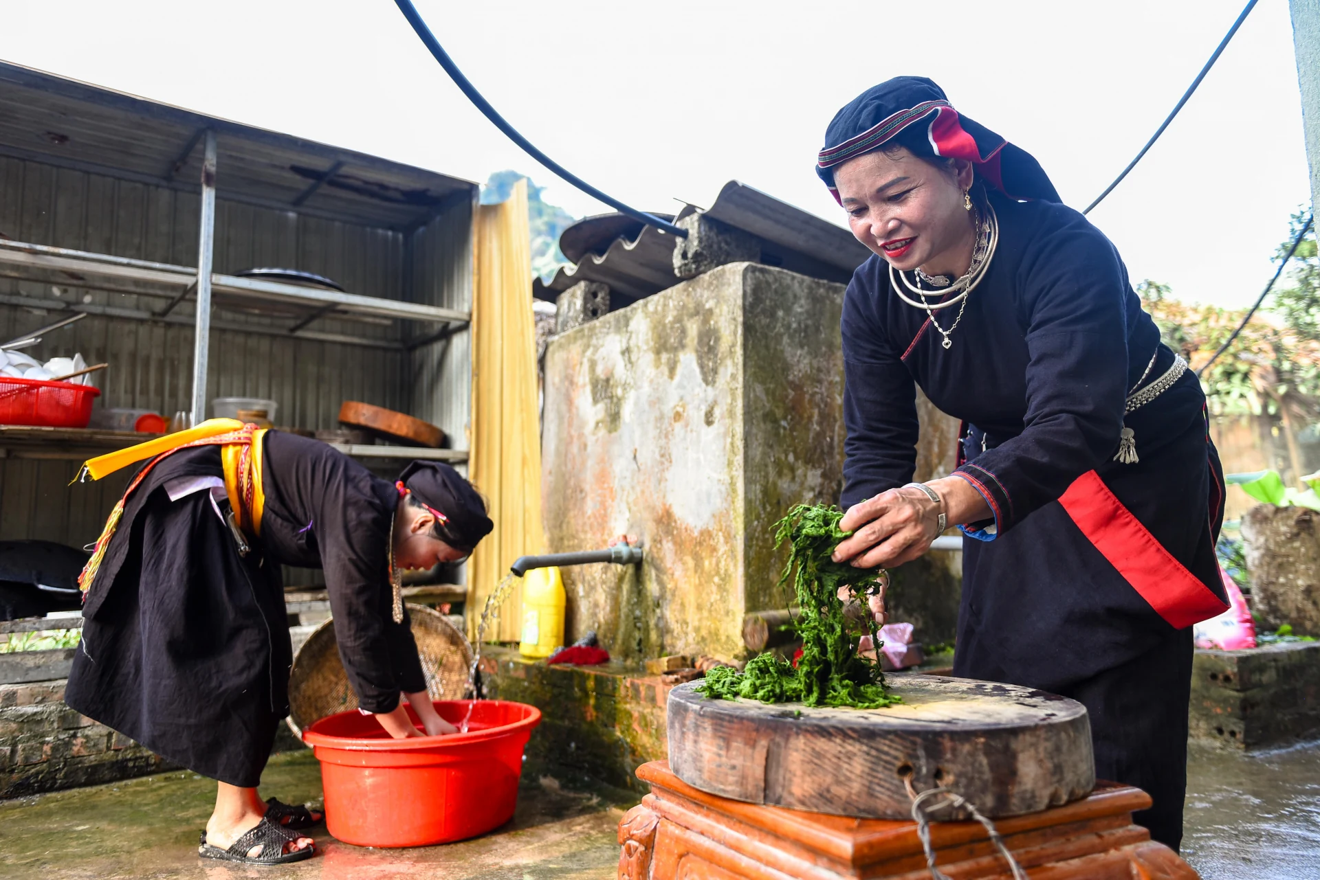 Rêu đá - Thức quà của dòng suối trong lành