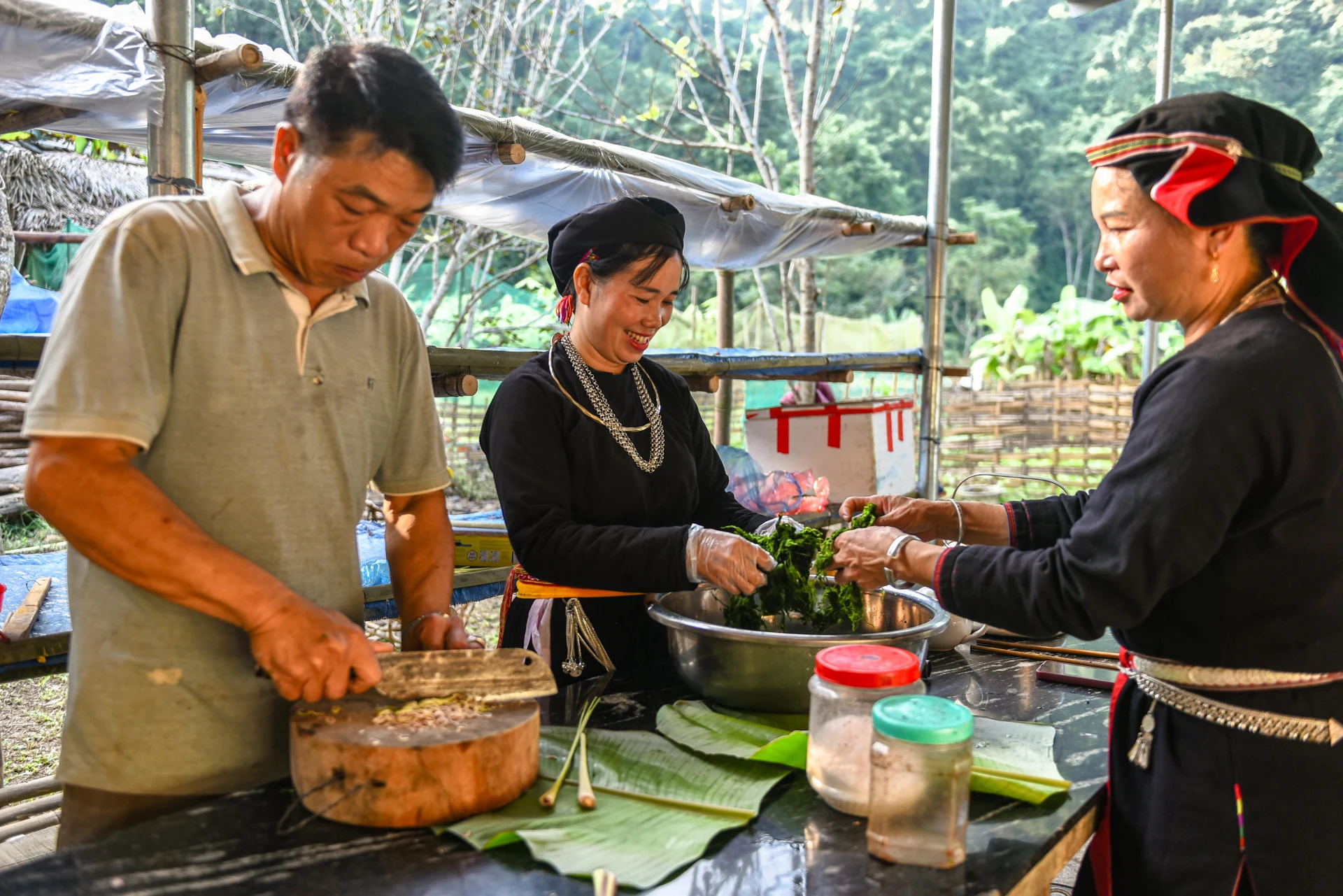 Rêu đá - Thức quà của dòng suối trong lành
