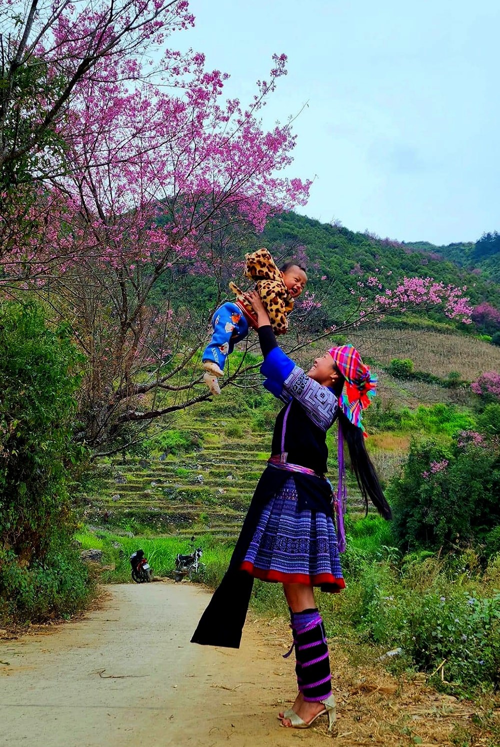 “Phiêu” với khèn Mông và hoa Tớ dày Mù Cang Chải