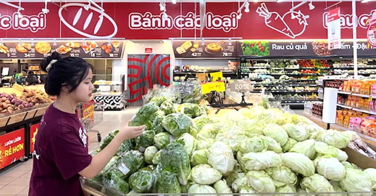 Developing the domestic market