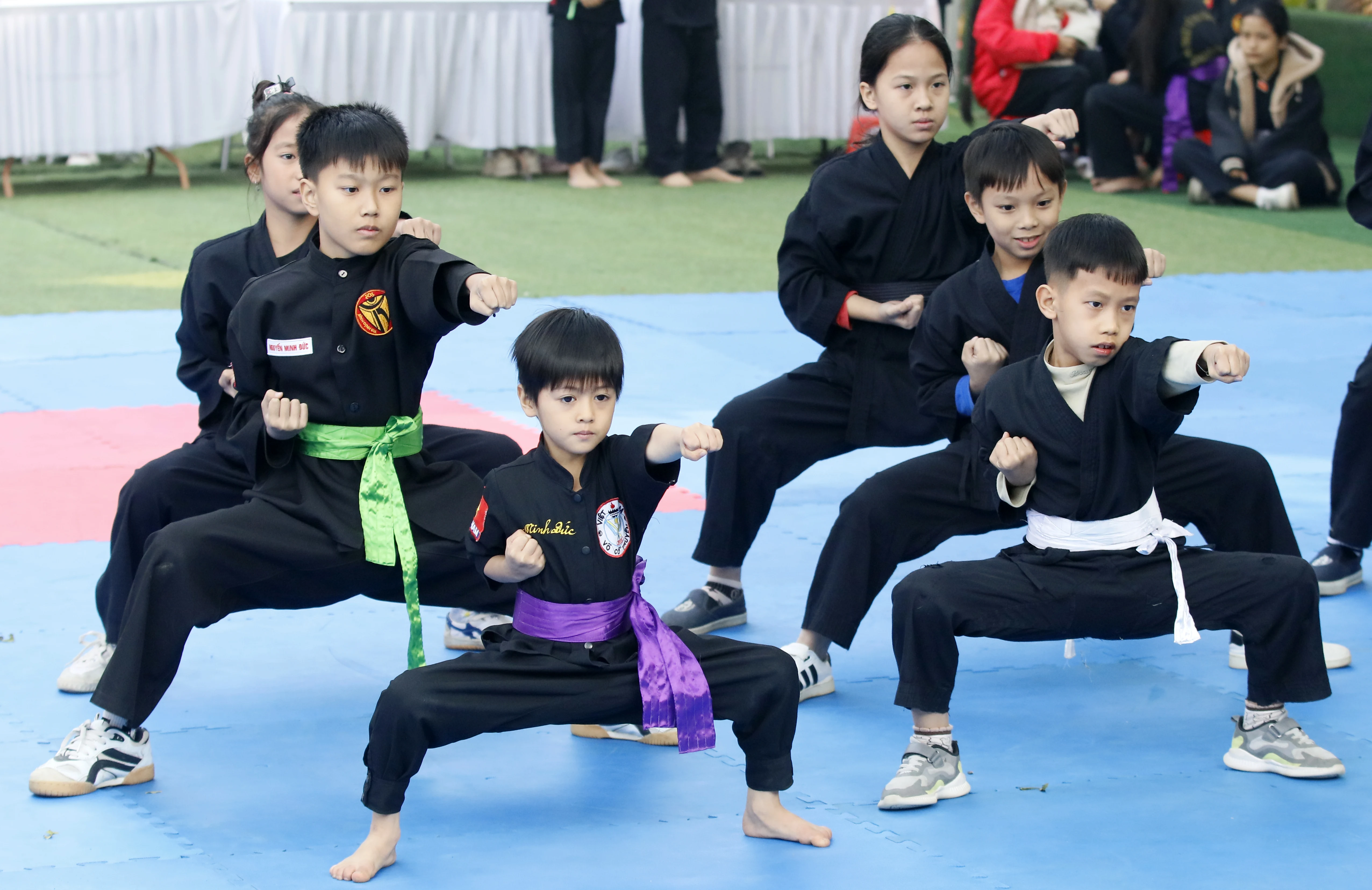 Liên hoan Võ thuật tỉnh Phú Thọ năm 2024