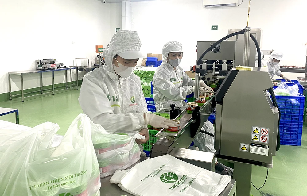 “Khoác áo mới” cho nông sản Đất Tổ