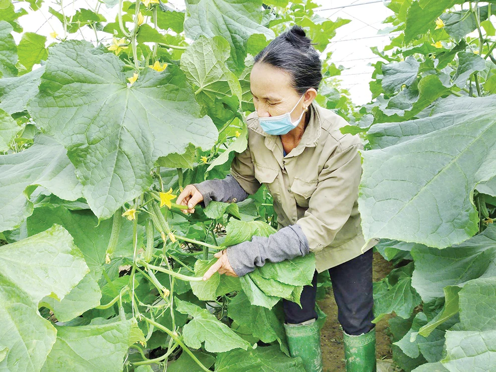10 sự kiện và kết quả nổi bật của tỉnh Phú Thọ năm 2024