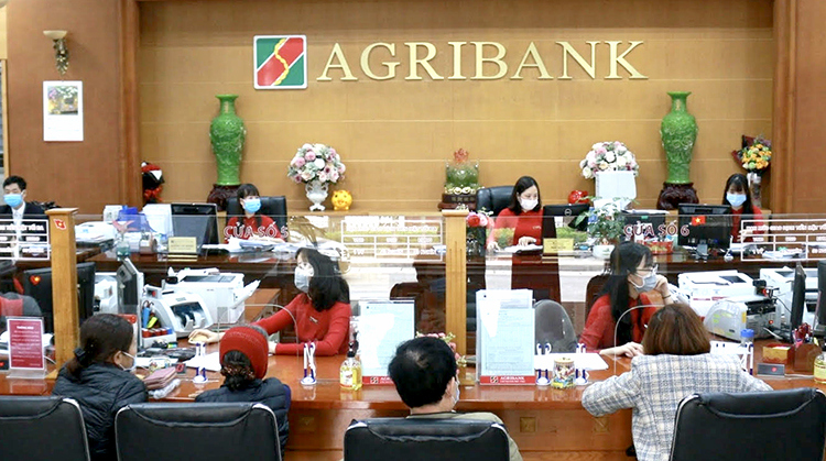 Đảng bộ Agribank Chi nhánh tỉnh Phú Thọ tổng kết công tác xây dựng Đảng năm 2024