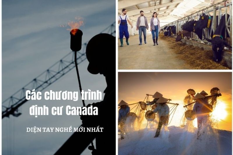 Định cư Canada - các chương trình định cư phổ biến